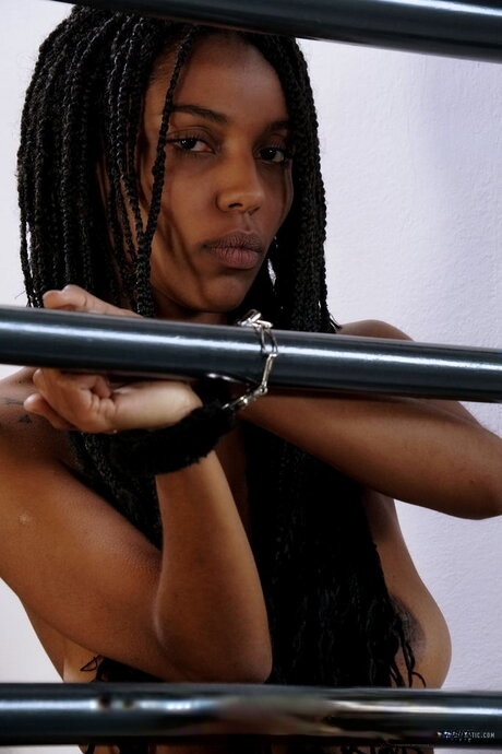trans_dispo71